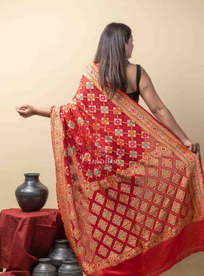 Red-Onion Meenakari Bandhej Saree