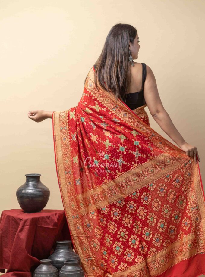 Red-Brown Meenakari Bandhej Saree