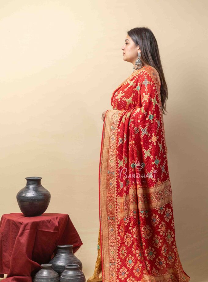 Red-Brown Meenakari Bandhej Saree