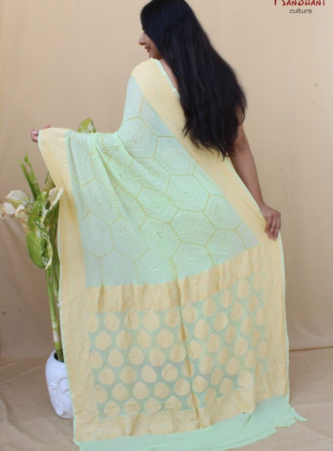 Pista Green Border Pallu Neemjari Bandhej Saree