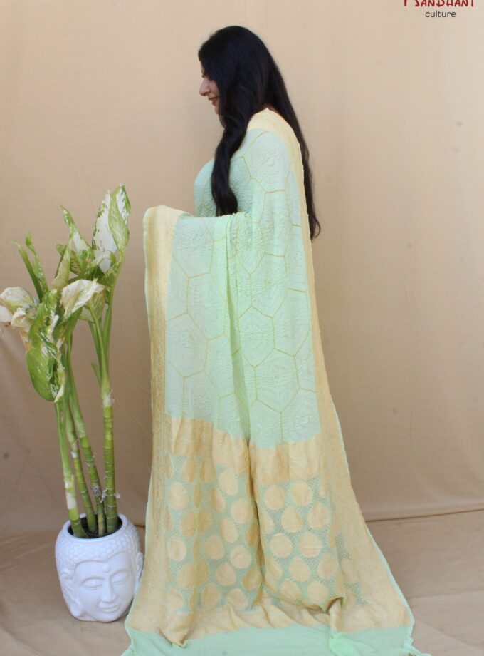 Pista Green Border Pallu Neemjari Bandhej Saree